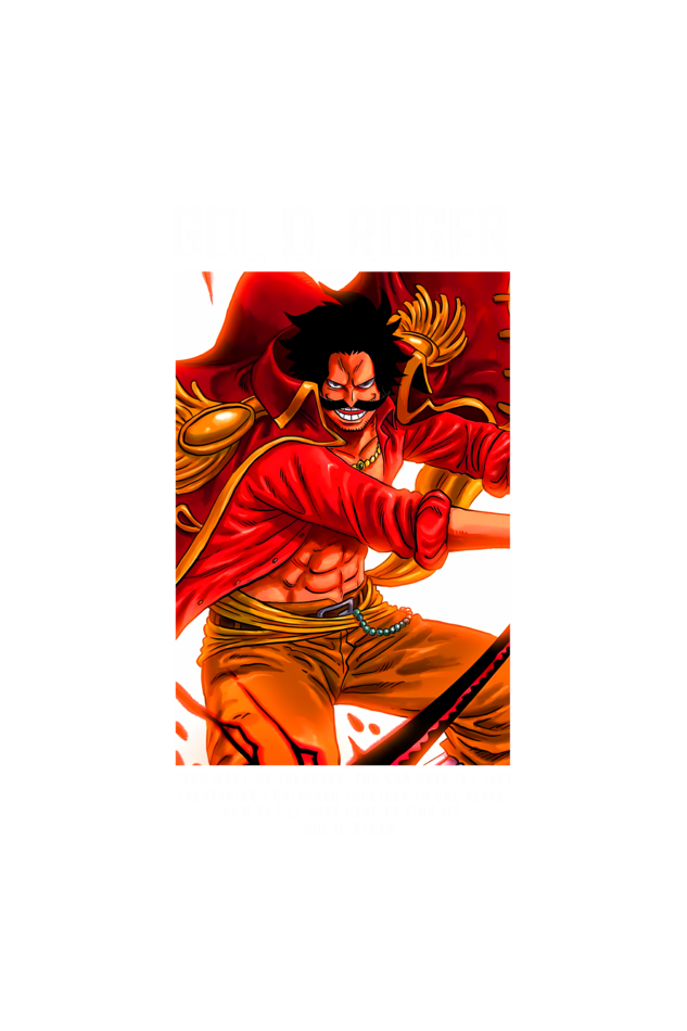 Terry Oversized T-shirt - One Piece GOL D. ROGER (FRONT)