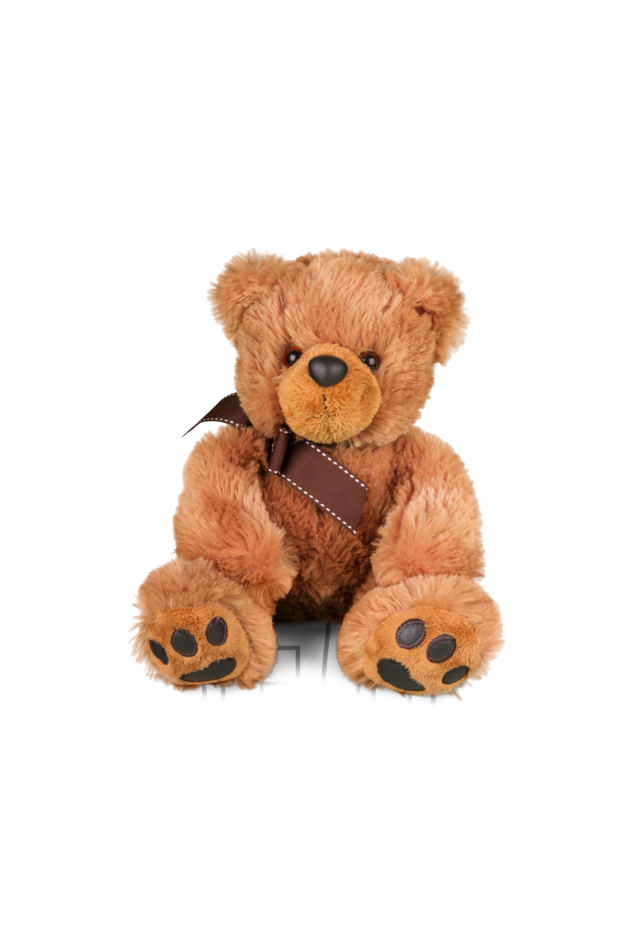 Crop Top - Brown Modern Teddy Bear